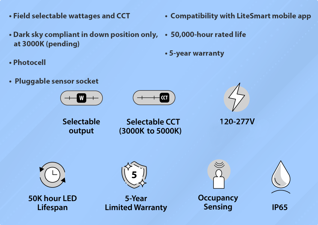 LED flood light features